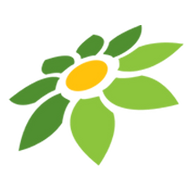 LINK KOINSLOT
